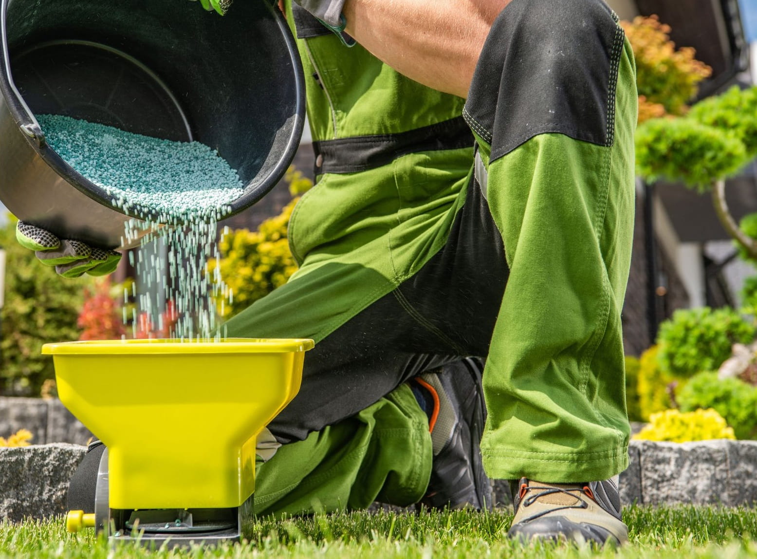 Rovnomerná aplikácia trávnikového hnojiva rozmetadlom